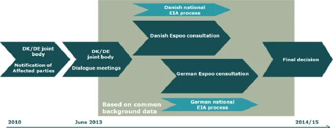 Figure 2.1 Flow diagram showing the Espoo process and parallel national EIA processes 