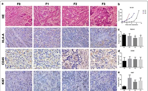 Fig. 5 Histopathological comparison of patient tissue with transplanted tumor tissues and the tumor growth curves of GC-28