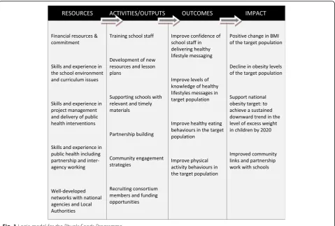 Fig. 1 Logic model for the PhunkyFoods Programme