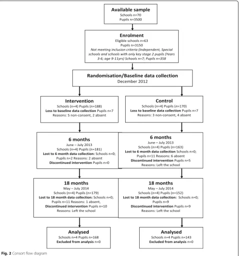 Fig. 2 Consort flow diagram