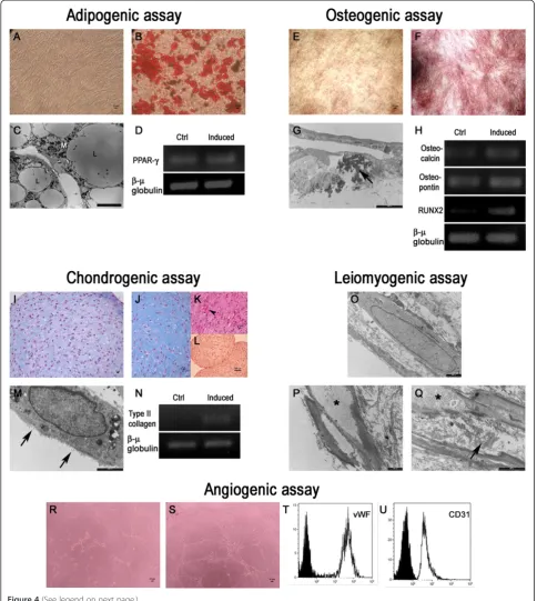 Figure 4 (See legend on next page.)