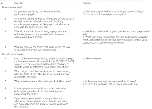 Table 3 Example interview questions