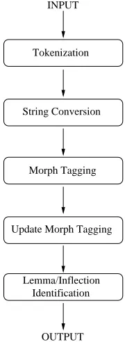 Figure 4: Overview of the Tagger/Analyzer
