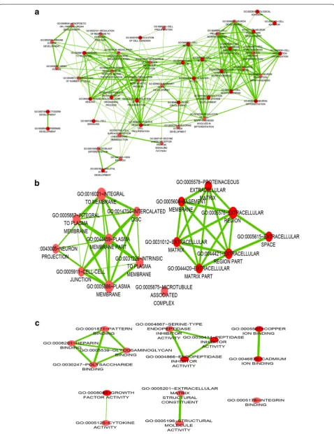 Fig. 7 A function network of gene ontology (GO) terms for the upregulated genes in NSCLC