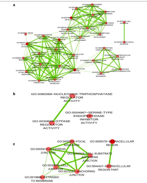 Fig. 8 A function network (BP) of Gene Ontology (GO) terms for the downregulated genes in NSCLC