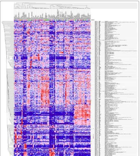 Fig. 2 Hierarchical clustering (heat map) of transcript expression for the 280 upregulated genes with the most differential expression between tumors