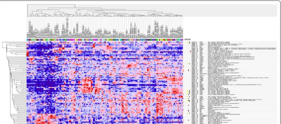 Fig. 3 Hierarchical clustering (heat map) of transcript expression for the 80 downregulated genes with the most differential expression between tumors