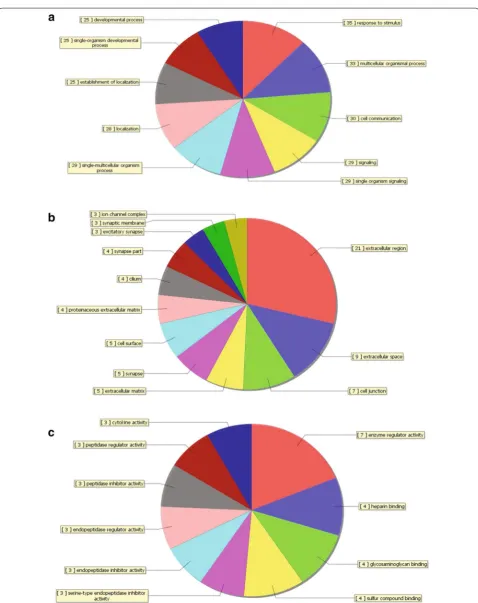 Fig. 6 Distribution of gene ontology (GO) terms for the downregulated genes in NSCLC. The pie plot showing the gene ontology classification for the downregulated genes in NSCLC