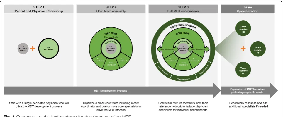 Fig. 1 Consensus-established roadmap for development of an MDT
