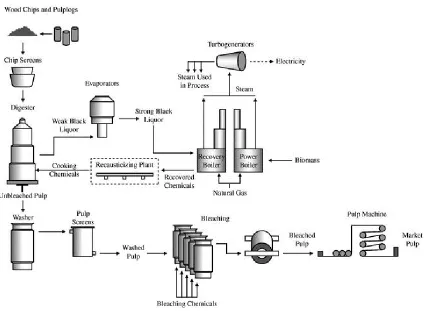 Figure 1.7. Diagram of a pulp mill using Kraft pulping [19].   
