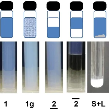 Figure 4.1. Schematic illustration and respective actual images of the different phases at equilibrium in SOW systems
