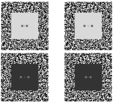 Fig. 1. Example of the stereograms used in theexperiment: decrement targets (top) and incrementtargets (bottom).