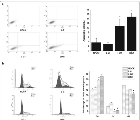 Fig. 6 DBCCR1-003 regulated cell cycle progression and apoptosis in T24 cells. a The bar chart represents the percentage of cells in G0/G1, S, or G2/M phase, as indicated
