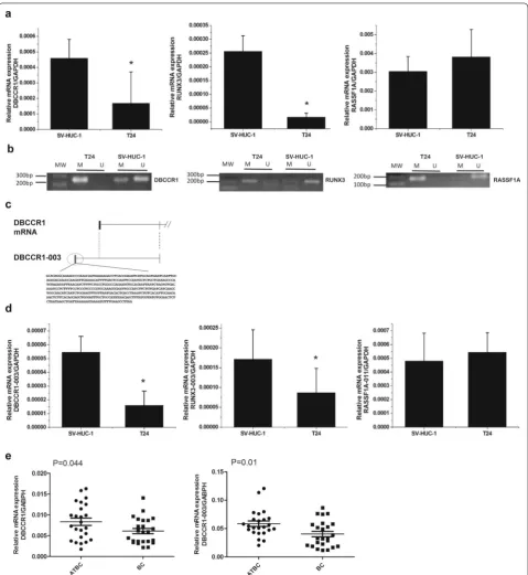 Fig. 1 The selection of target lncRNA. ured by real-time PCR. Ua Relative expression of DBCCR1, RUNX3 and RASSF1A in T24 cells compared to SV-HUC-1 cells were meas-b The methylation status of DBCCR1, RUNX3 and RASSF1A promoter in T24 cells and SV-HUC-1 cel