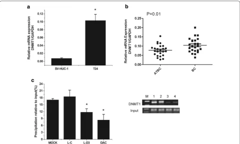 Fig. 3 DNMT1 up-regulation is responsible for the methylation of DBCCR1. a Relative expression of DNMT1 in T24 cells compared to SV-HUC-1 cells was measured by real-time PCR