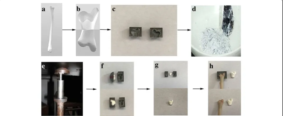 Fig. 1 Scaffold fabrication process by indirect 3DP. a 3D reconstruction of rabbit radial head from CT images