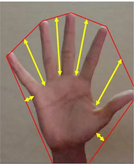 Fig. 9. Image of hand gesture having convexity defect 