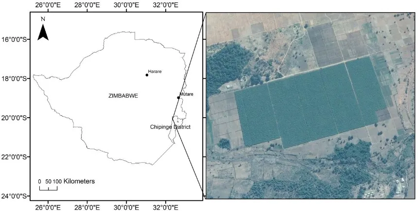 Figure 1. Location of Mutema Irrigation Scheme and its Google Earth satellite image 