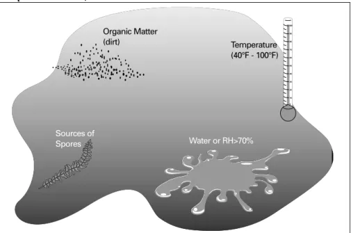 Figure 13: Prerequisites for Microbial Growth (add “40°F to 100°F” under  Temperature callout) Sources of Spores Organic Matter(dirt) Temperature (40°F - 100°F)Water or RH&gt;70%