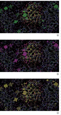Fig. 4. Single crystal freeze-quench Fo � Fc electron density differ-ence Fourier maps after REFMAC5 rigid body refinement at 1.8 A�resolution (each map contoured at 3s)