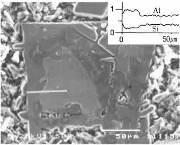 Fig. 2.7: Scanning  electron  microcopy  (SEM)  image  showing  a  δ-Al 3 FeSi 2  IMC  enveloped by a β-Al 5 FeSi IMC due to an incomplete peritectic transformation [48]