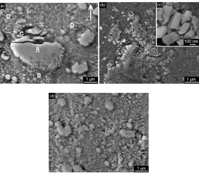 Figure 5  High-magnification SEM images of typical wear features on the TiAlN/VN surfaces
