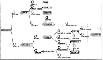 Figure 6: Representation of the Complex Discourse Unit for Example (1) 