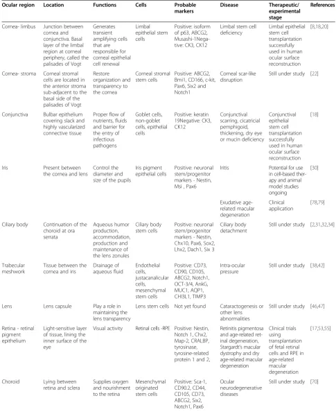 Table 1 Ocular stem cells: locations, functions, markers and therapeutic development stage