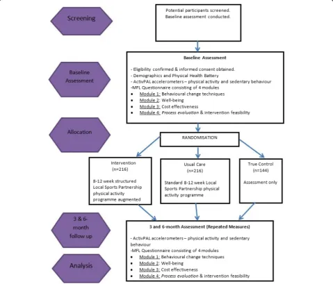 Fig. 2 CONSORT Flow diagram of study design