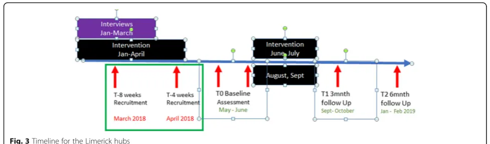 Fig. 3 Timeline for the Limerick hubs