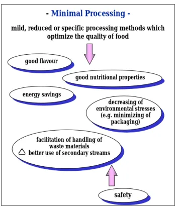 Fig. 2. The main aims of minimal processing without compromising the safety of foodstuffs.