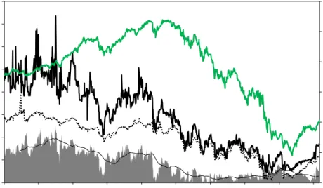 Figure 4: Put-derived Forward looking DD series. 31-Dec-2004 - 31-Jul-2009