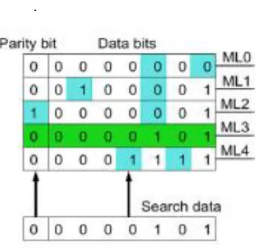 Fig 5.  Conceptual View of Parity based CAM design 