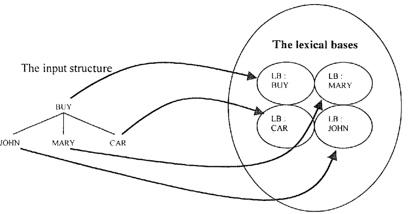 Figure 2. ]he input structure associated to lexical bases 