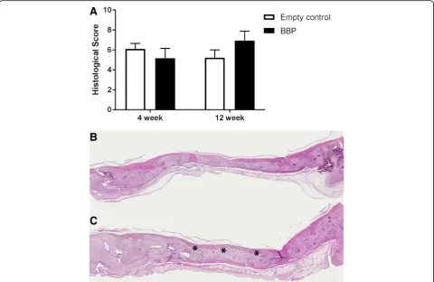 Fig. 6 BBPs have no effect on bone healing in a rat calvarial defect. (a) Histological grading of the two groups at 4 and 12 weeks