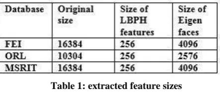 Table 1: extracted feature sizes 
