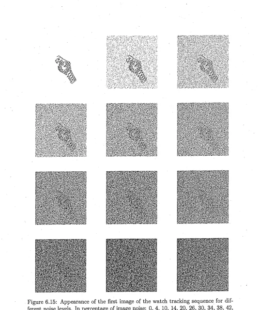 Figure 6.15: Appearance of the first image of the watch tracking sequence for dif­