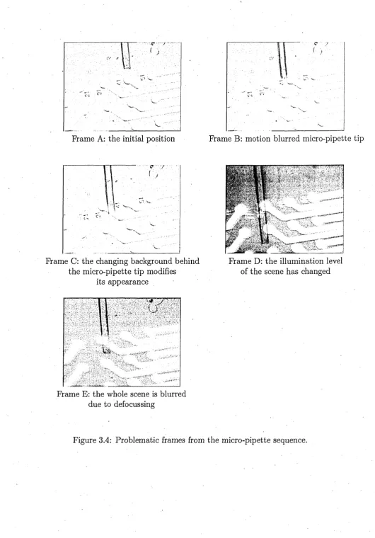 Figure 3.4: Problematic frames from the micro-pipette sequence.