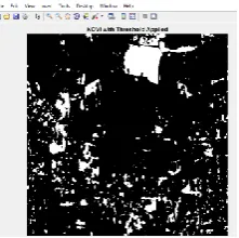 Fig 10: NIR and NDVI output.  