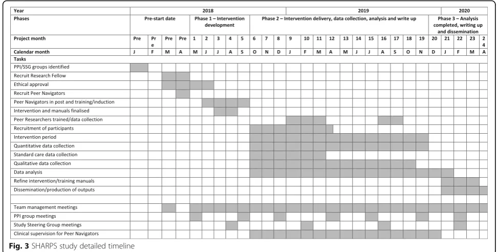 Fig. 3 SHARPS study detailed timeline