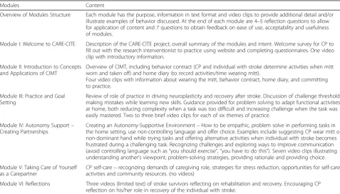 Table 1 Content of the CARE-CITE Intervention for the carepartner
