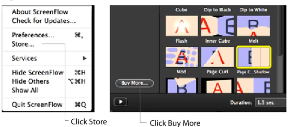 Figure 31. Telestream Store Access