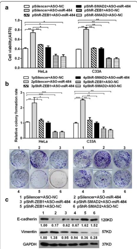Fig. 7 The ectopic expression of SMAD2 and ZEB1 counteracts the inhibition of migration, invasion and EMT progression induced by miR-484