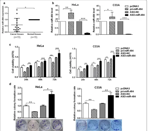 Fig. 1 miR-484 suppresses the proliferation of CC cells. a RT-qPCR showed the expression of miR-484 in 15 pairs of human cervical cancer tissues and the adjacent noncancerous tissues