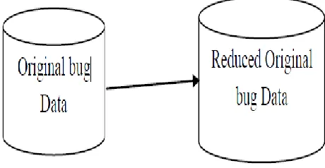 Figure 1: Bug Data Reduction 