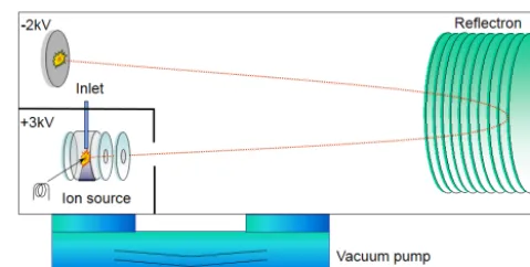 Figure 2. Scheme for the direct ion extraction of the Bench TOF-dxdirect extraction (ﬁve technologies GmbH, G