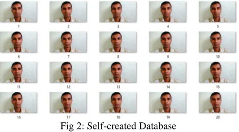 Fig 2: Self-created Database 