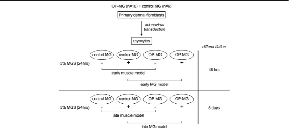 Fig. 2 Genes profiled in the expression array grouped according to categories. Expressed genes (Cq < 35 in all samples) are indicated in bold.“OP-MG genes” refers to genes containing OP-MG susceptibility variants and “OP-MG pathways” refers to genes in OP-MG susceptibility pathways[10], MG = myasthenia gravis, EAMG = experimental autoimmune myasthenia gravis, EOM = extraocular muscle