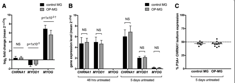 Fig. 3 a and b. Expression of muscle gene transcripts in myocytes by subphenotype in early (48 h) and late (5 days) differentiation models