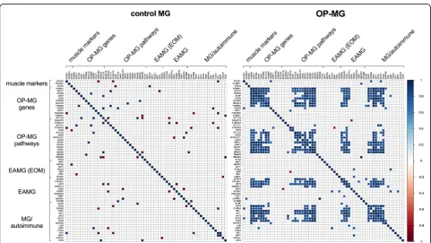 Fig. 5 Control MG and OP-MG myocytes show different gene expression profiles. RNA was extracted from untreated and MG sera (MGS) treatedcontrol MG (n = 6) and OP-MG (n = 10) myocytes after 48 h differentiation as described